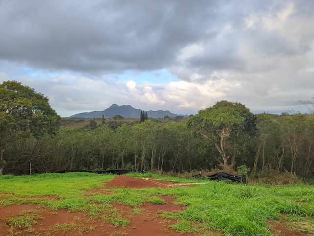 Lani Rd, Kapaa HI, 96746 land for sale