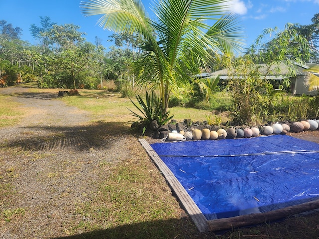 view of pool