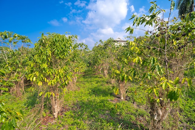 Listing photo 2 for Kalamauka St, Kailua-Kona HI 96725