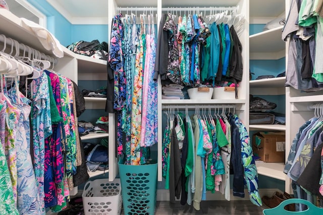 walk in closet featuring wood finished floors