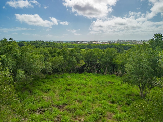 Apopo Rd, Kapaa HI, 96746 land for sale