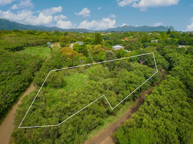 Listing photo 3 for Apopo Rd, Kapaa HI 96746