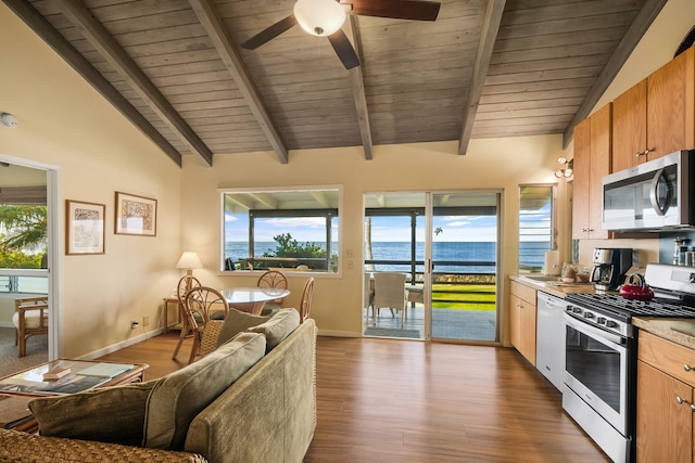 kitchen with a healthy amount of sunlight, appliances with stainless steel finishes, a water view, and lofted ceiling with beams