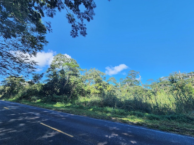 Pahoa Kapoho Rd, Pahoa HI, 96778 land for sale