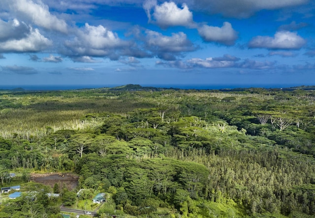 Listing photo 2 for Pahoa Kapoho Rd, Pahoa HI 96778