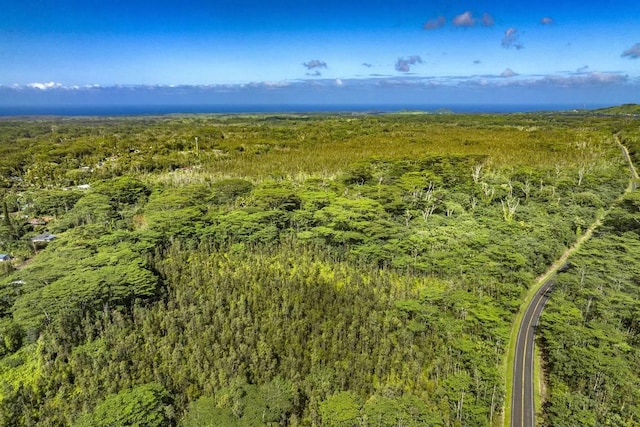 Listing photo 3 for Pahoa Kapoho Rd, Pahoa HI 96778