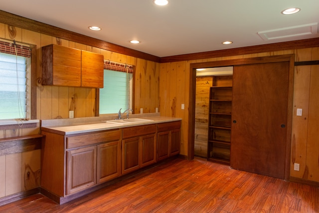 kitchen featuring sink, dark hardwood / wood-style floors, and wooden walls