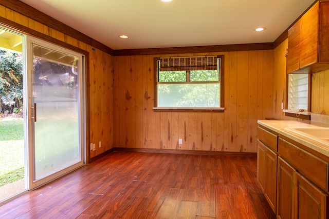 interior space with sink, dark wood-type flooring, and wood walls