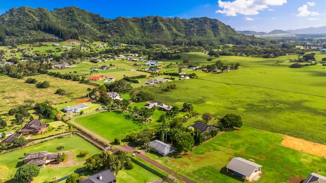 aerial view with a mountain view