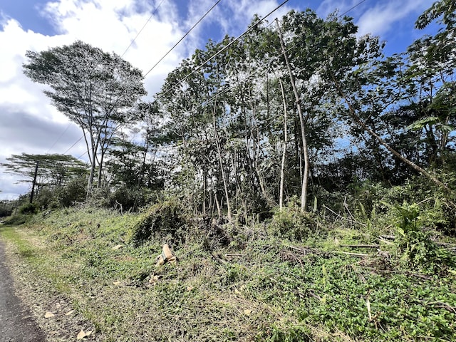 Mauna Kea Rd, Pahoa HI, 96778 land for sale