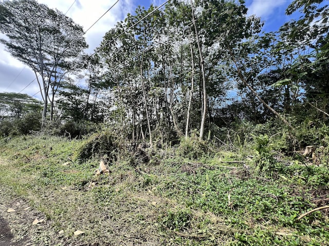 Listing photo 2 for Mauna Kea Rd, Pahoa HI 96778