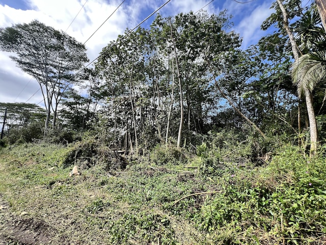 Listing photo 3 for Mauna Kea Rd, Pahoa HI 96778