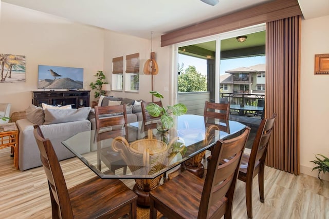 dining area with light hardwood / wood-style flooring