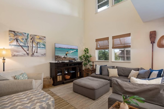 living room with hardwood / wood-style flooring and a high ceiling