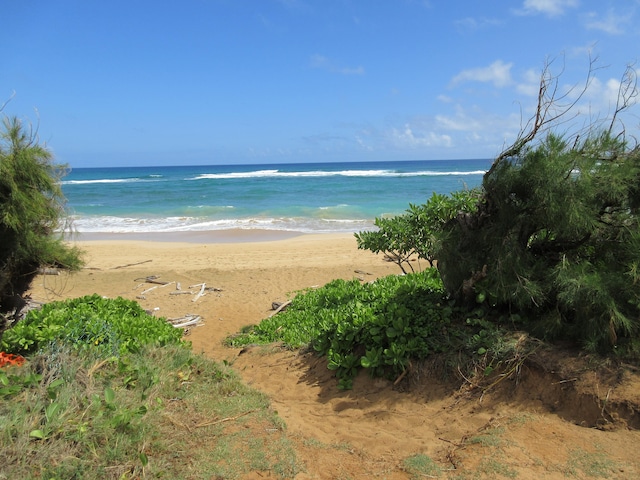 property view of water featuring a beach view