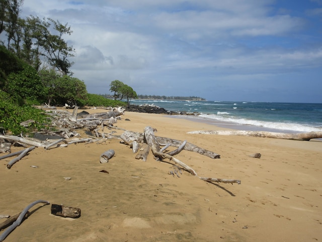 water view featuring a beach view