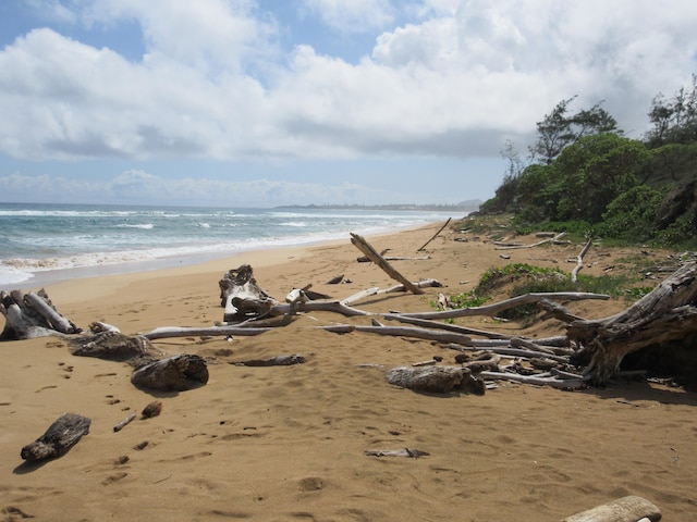 property view of water with a beach view