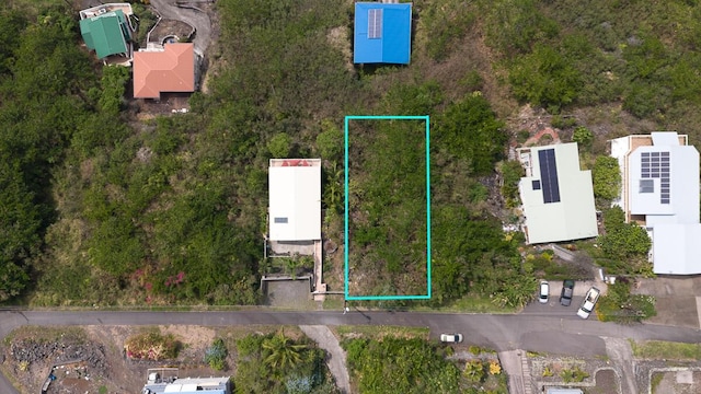 Ea Rd, Captain Cook HI, 96704 land for sale