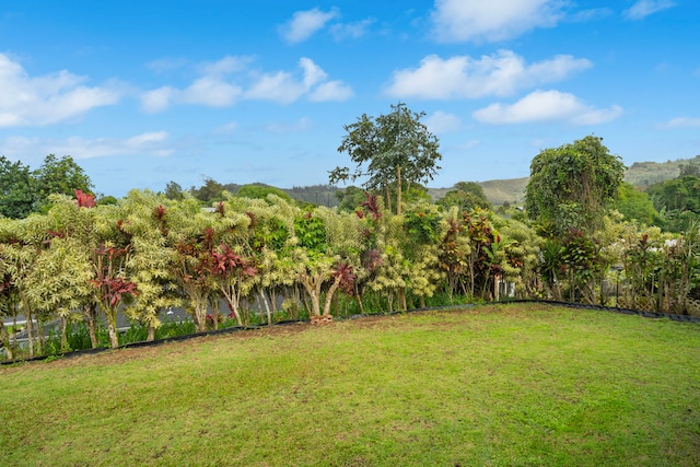 view of yard featuring fence and a mountain view