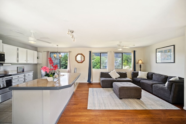 living area featuring a healthy amount of sunlight, ceiling fan, and wood finished floors