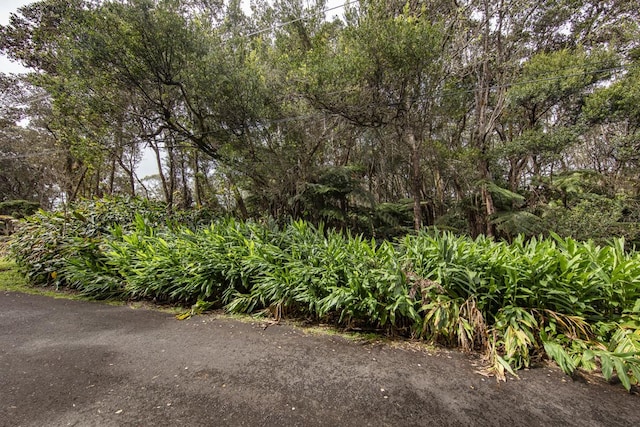 11-3906 4th St, Volcano HI, 96785 land for sale