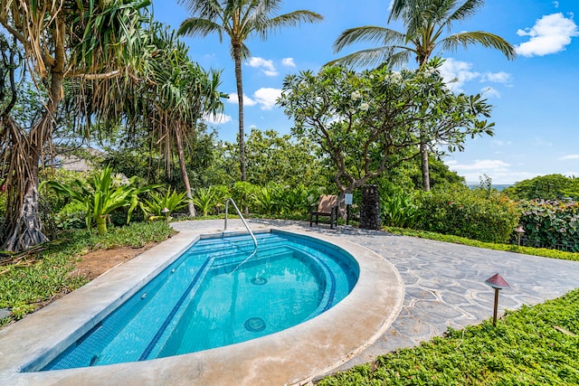 view of swimming pool