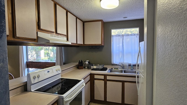 kitchen with white range with electric stovetop, light countertops, a textured ceiling, under cabinet range hood, and a sink