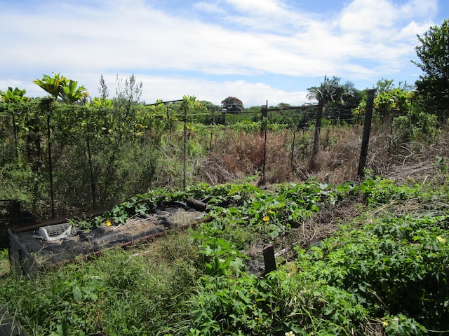 view of nature with a rural view