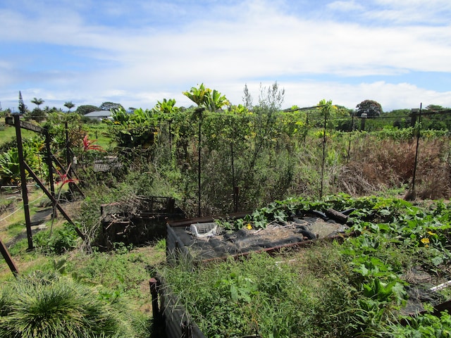 view of yard featuring a garden