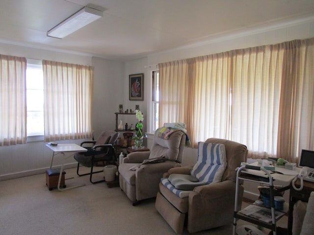 view of carpeted living area