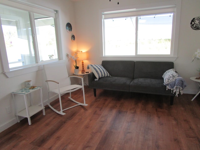 living room featuring dark hardwood / wood-style flooring