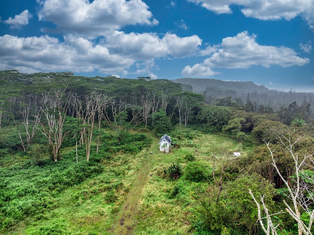 view of mountain feature