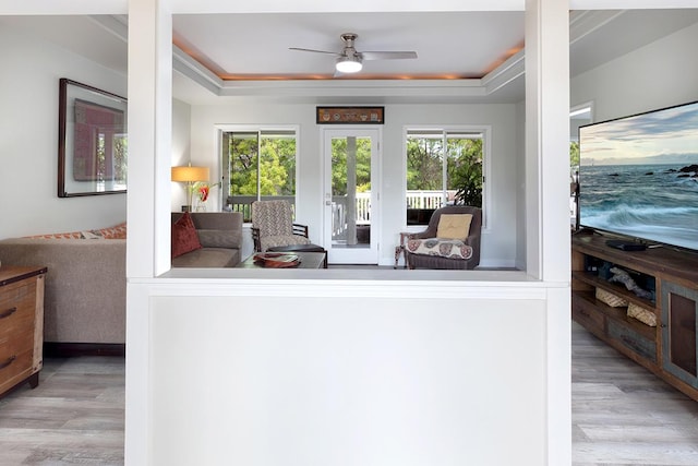 kitchen featuring a tray ceiling, a healthy amount of sunlight, and light wood finished floors