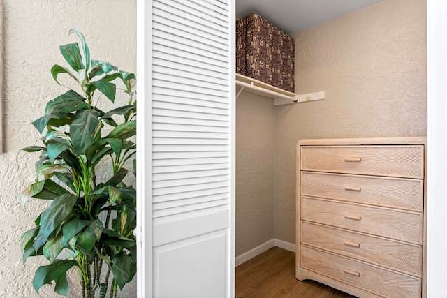 walk in closet featuring wood finished floors