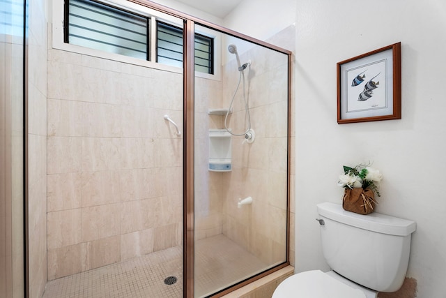 full bathroom featuring a shower stall and toilet