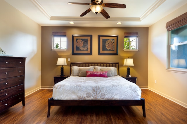 bedroom with baseboards, a raised ceiling, and wood finished floors