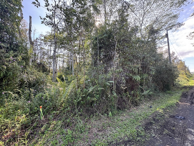 Listing photo 3 for Oahu Rd, Pahoa HI 96778