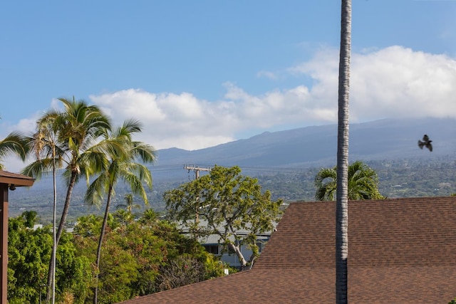 view of mountain feature