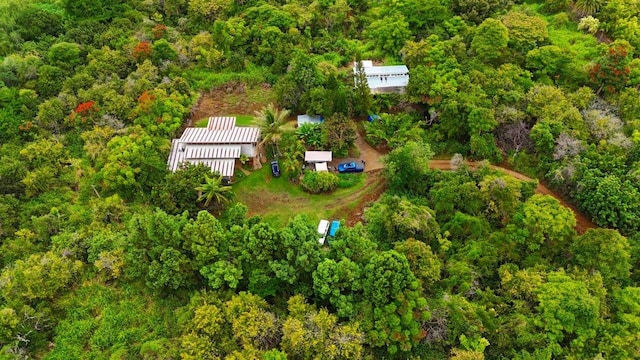 bird's eye view with a view of trees