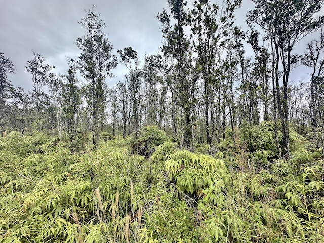 Noe Kuahiwi Rd, Volcano HI, 96785 land for sale