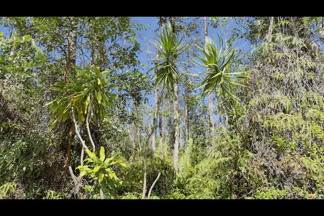 13th Ave, Keaau HI, 96749 land for sale