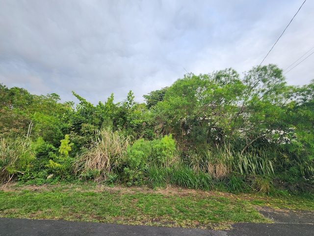 Listing photo 2 for Datura Rd, Captain Cook HI 96704