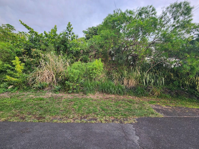 Listing photo 3 for Datura Rd, Captain Cook HI 96704