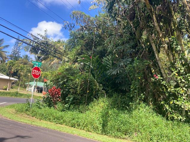 Listing photo 2 for Kaku St, Pahoa HI 96778