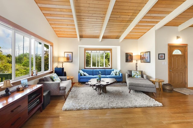 living room featuring beamed ceiling, plenty of natural light, and light wood-style floors