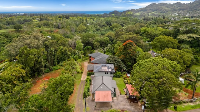 6450 Olohena Rd, Kapaa, HI 96746 - view from above of property featuring a forest