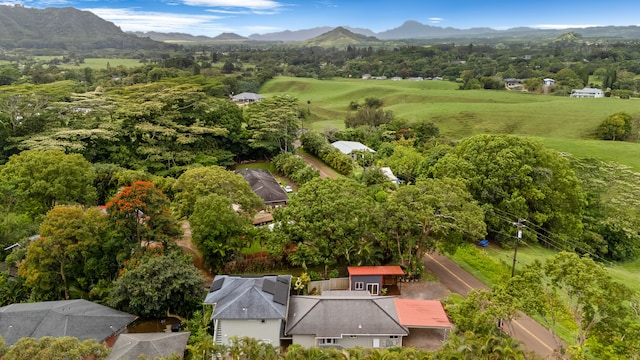 6450 Olohena Rd, Kapaa, HI 96746 - aerial view of mountains