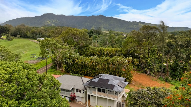 6450 Olohena Rd, Kapaa, HI 96746 - bird's eye view of mountains