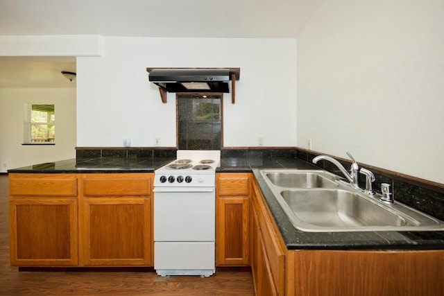 kitchen with a peninsula, a sink, electric stove, range hood, and brown cabinets