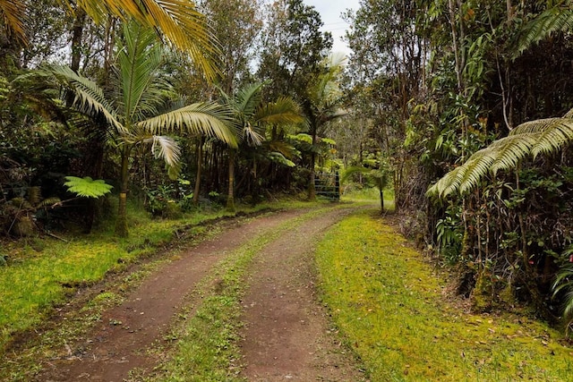 view of road